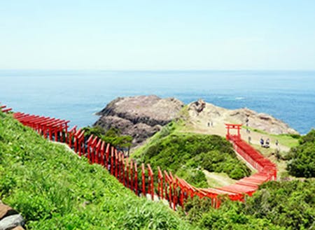 CNNの「日本の最も美しい場所31選」に選ばれた元乃隅神社