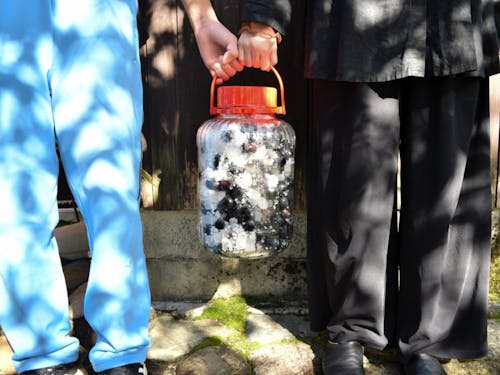 味覚から里山の四季を味わう。女将が漬けた季節のシロップを、須貝邸で提供しています。