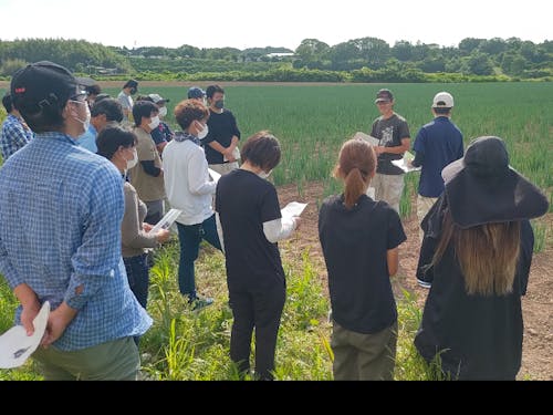 ネギ畑の見学風景です!農家さんが優しく教えてくれます!