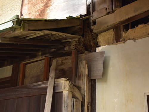 損傷している離れ(えじぷとの間)の柱