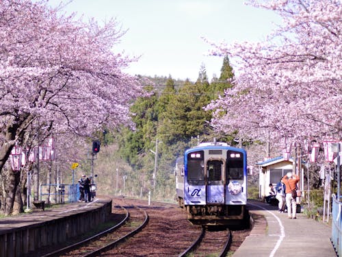 四季をより色濃く感じやすい地域です