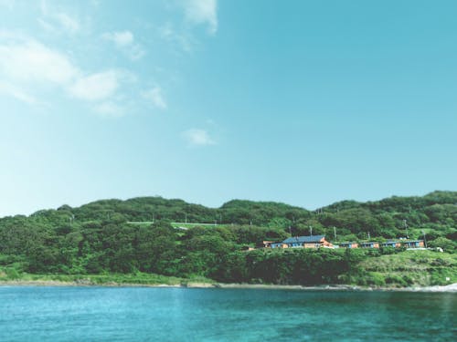 受入先:木ノ浦ビレッジ