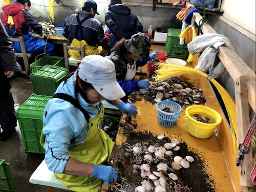 耳吊りバイトを行う倉庫の様子