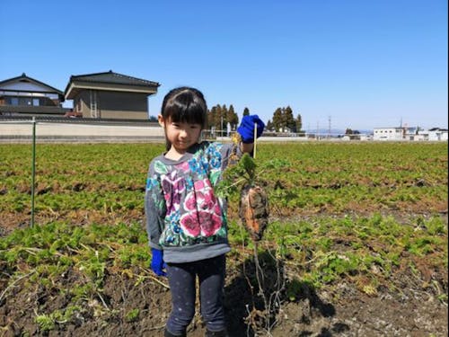 大きなにんじん採れたよ〜♪