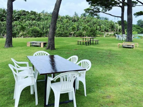 約2000坪ある國仲商店の庭