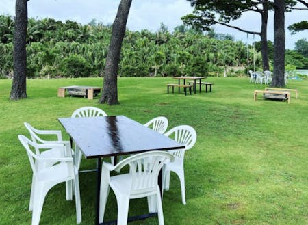 約2000坪ある國仲商店の庭