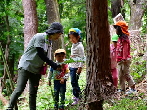 園のうら山=自然の中で保育が行われます!