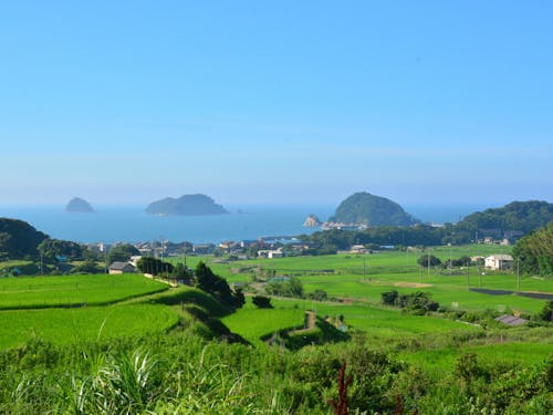 舞鶴市三浜地区の景色 棚田と海がきれいです 釣りも楽しめます