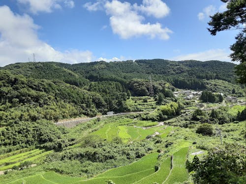雲仙市の中山間地にある農地のようす