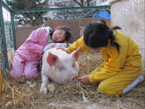伊那小学校の総合学習の様子