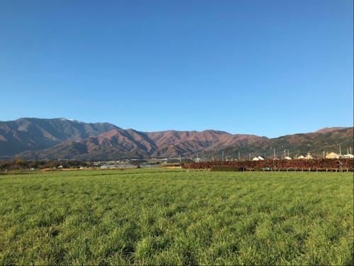 自然に囲まれた伊那市!森も田畑もすぐそばです!