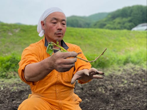 お世話になる農家さんの1人 両角さん