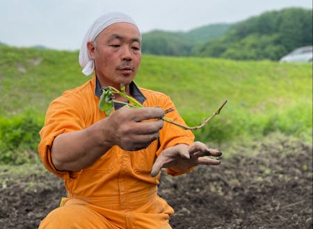 お世話になる農家さんの1人 両角さん