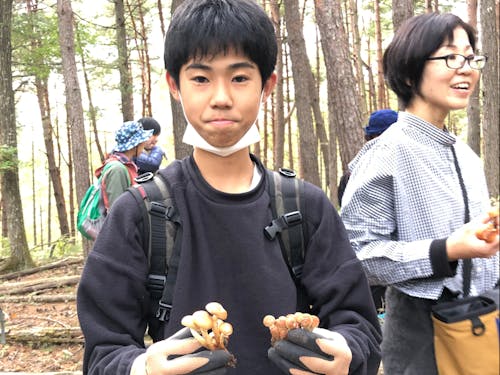 キノコ狩りの様子