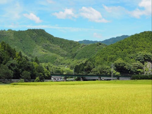 こんな地域での暮らし方と働き方を考えてみましょう。