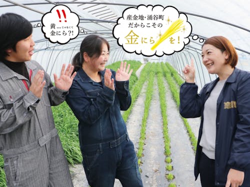 地域おこし協力隊が提案した「金色のにら」の生産を強化するために、共にクラウドファンディングに挑戦したり