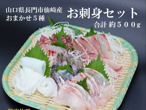 おまかせ５種。お刺身セット