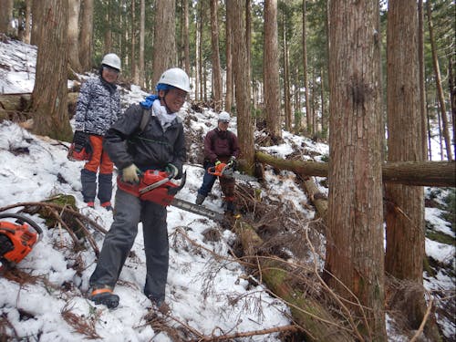 施業地での様子