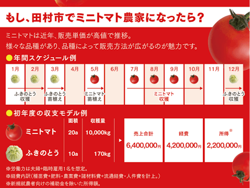 ＜ミニトマトでの就農モデル例＞