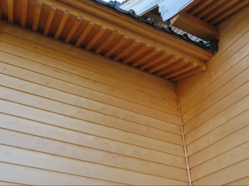 全面に木を活かした空間