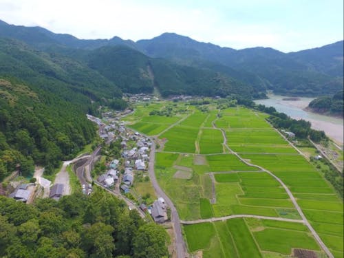 紀宝町の町を歩き空き家の調査も行います