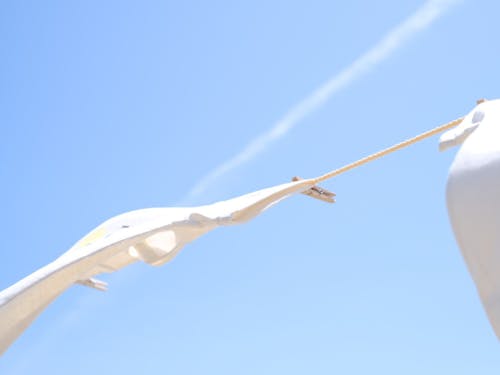 時間によって趣を変える