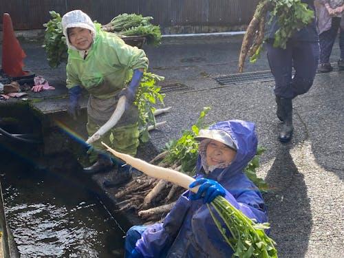 畑の大根を川まで運び何百本と洗う