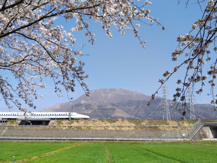 のどかな田園風景の中を走る新幹線
