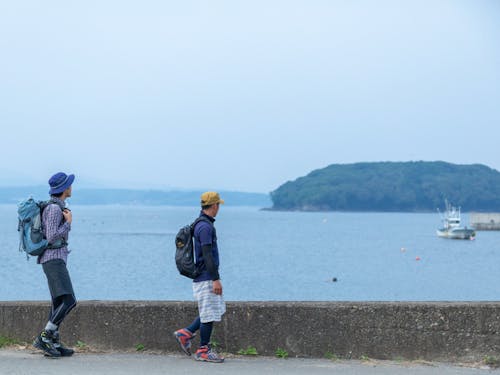 トレイルルートから臨む志津川湾