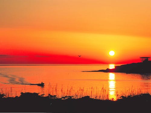 海から朝陽が昇る雄武町。この朝焼けに惚れて移住する方も多いんです。