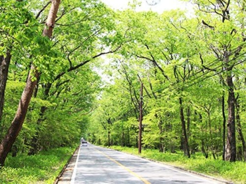 那須町は緑も多く自然豊かな環境です。