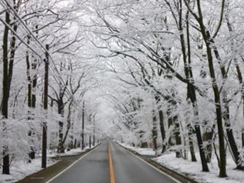 四季を楽しめる環境で暮らしたい方におすすめの那須町