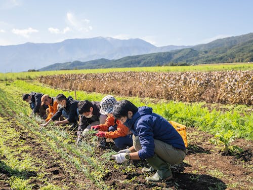 中央アルプスと南アルプスに囲まれた絶景で農業研修