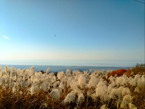 能登最高峰『宝達山』山頂からの眺め
