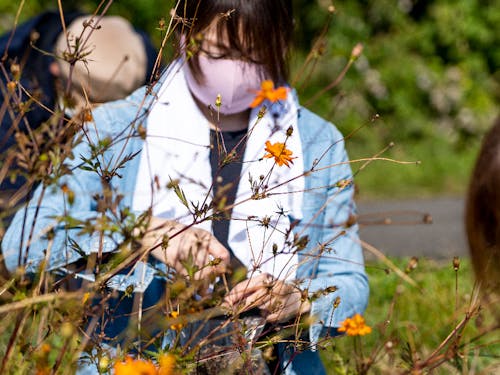 憩いのお花畑をつくりながら道路整備