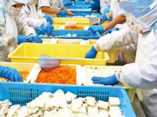 田舎で、マルチワーカーとして一緒に働きませんか?