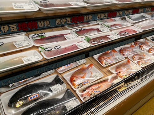 目の前の海で獲れたお魚が並びます