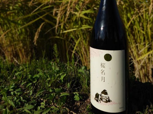 井川町の特産品 日本酒「桜名月」(ふるさと納税返礼品)