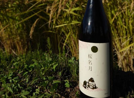 井川町の特産品 日本酒「桜名月」(ふるさと納税返礼品)