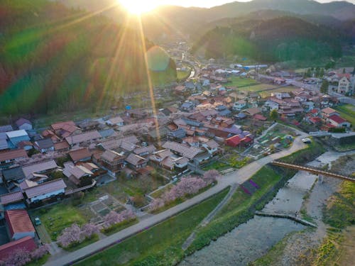 早朝、春のがいせん桜通りと村中心部。春は桜、夏は新緑、秋は紅葉、冬は雪景色と、四季豊かな景色がのぞめます。(ドローンでの撮影風景、提供:ラボ実践1期生・Ojiro Sky. さん)