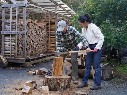 南伊豆くらし図鑑の光景。薪割り体験の異日常へ!
