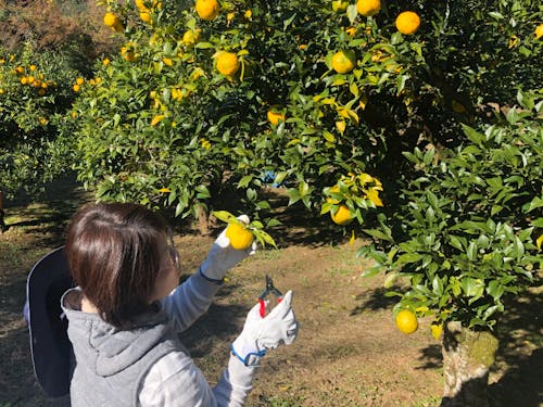 普段では体験できない体験をしてもらう。
