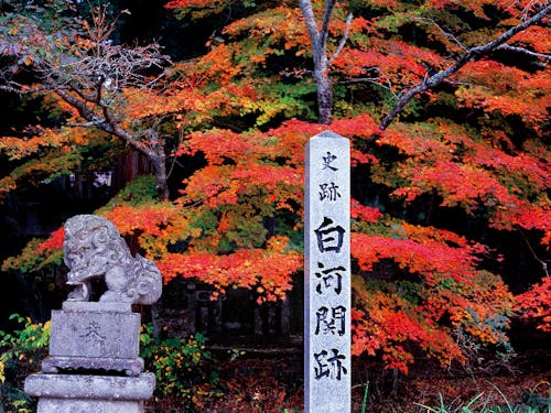 空いた時間には白河観光などいかがでしょうか。