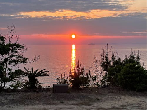 庭先から見えるサンセット