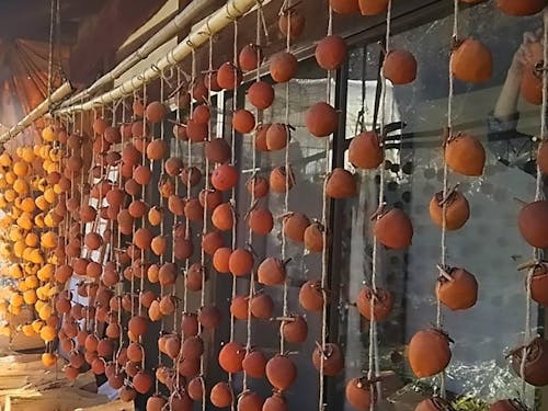 秋~冬にかけては軒先が柿簾に