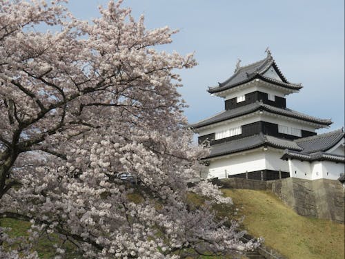 白河の映えスポット、小峰城