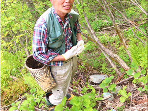 前半ゲストは、山菜焼きやきのこトレッキングガイドなどもなさいます。