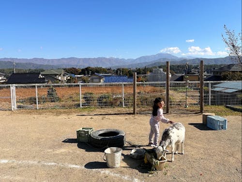保育園の風景。のびのびと大きくなあれ!