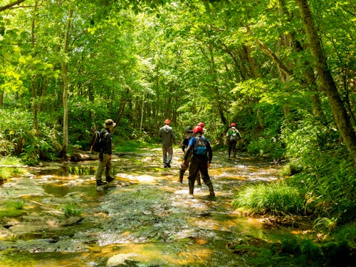 リバーウォークの様子。ガイドさんが名寄川を案内してくれます。