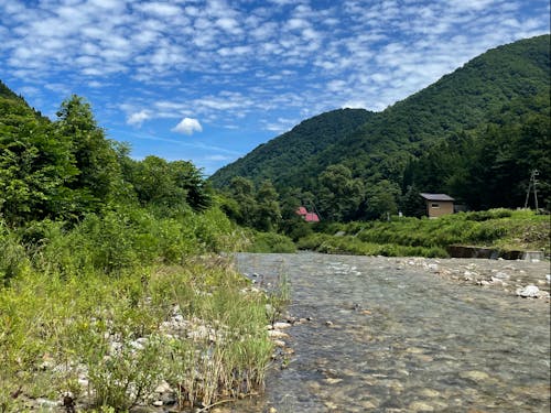 百瀬川(ももせがわ)で釣りも楽しめます。